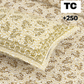 Sydney Golden Bloom Pure Cotton King Size Bedsheet (90x108) with 2 Pillow Covers